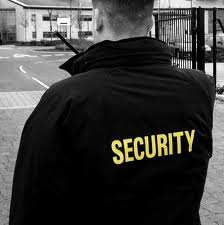 Professional security officer